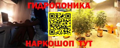 не бодяженный Белореченск
