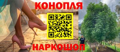 ПСИЛОЦИБИНОВЫЕ ГРИБЫ Боровичи