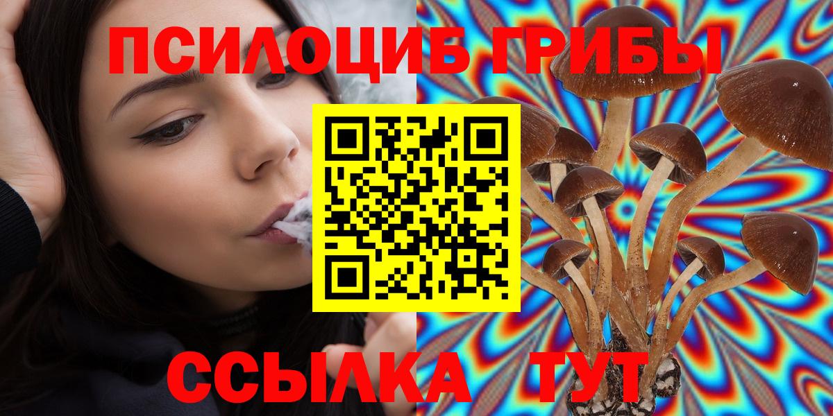 Псилоцибиновые грибы Cubensis Орск
