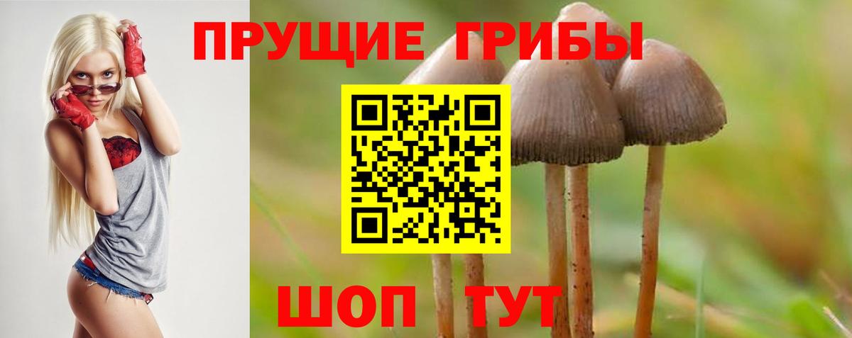 Галлюциногенные грибы MAGIC MUSHROOMS  Орск  закладка  Псилоцибиновые грибы MAGIC MUSHROOMS 