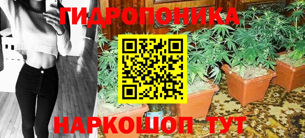 Марихуана план Орск